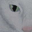 paintings