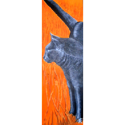 black cat